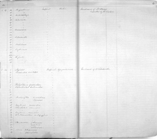 Plecostomus brevicauda Günther, 1864 - Zoology Accessions Register: Reptiles & Fishes: 1864 - 1877: page 4