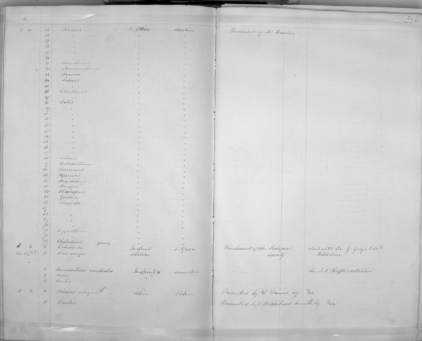 Zoology Accessions Register: Mammals: 1854 - 1861: page 366