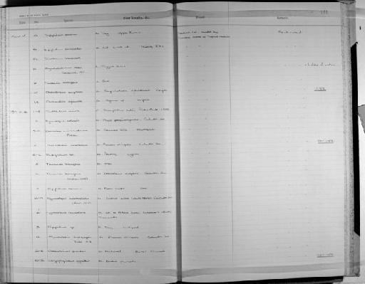 Choanotaenia microsoma - Zoology Accessions Register: Platyhelminth: 1971 - 1981: page 121