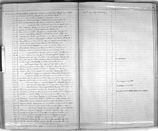 Cypraea undata Lamarck, 1822 - Zoology Accessions Register: Mollusca: 1884 - 1893: page 125