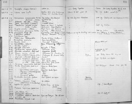 Porcellio hoffmanseggi Brandt - Zoology Accessions Register: Crustacea: 1935 - 1962: page 113