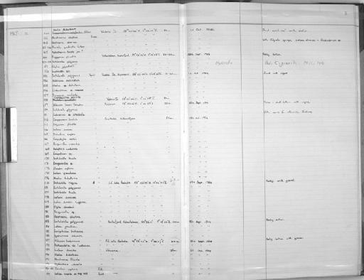 Campanularia hincksii Alder, 1856 - Zoology Accessions Register: Coelenterata: 1964 - 1977: page 5