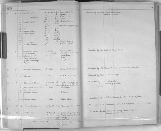 Cercopithecus diana diana - Zoology Accessions Register: Mammals: 1921 - 1929: page 26