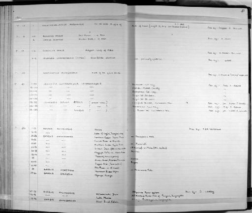 Jenkinsia lamprotaenia (Gosse, 1851) - Zoology Accessions Register: Fishes: 1961 - 1971: page 40