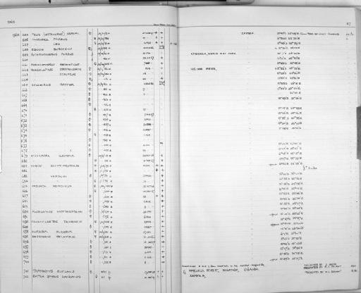 Kobus vardonii vardonii Livingstone, 1857 - Zoology Accessions Register: Mammals: 1967 - 1970: page 67