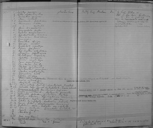Polydora polybranchia Haswell, 1885 - Zoology Accessions Register: Annelida & Echinoderms: 1884 - 1923: page 156