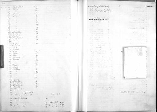 Plectropoma sp - Zoology Accessions Register: Mammals: 1850 - 1853: page 245