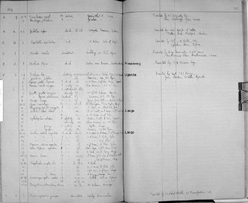 Panthera leo (Linnaeus, 1758) - Zoology Accessions Register: Mammals: 1921 - 1929: page 275