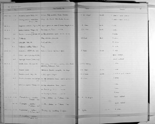 Bertiella studeri (Blanchard, 1891) - Zoology Accessions Register: Platyhelminth: 1971 - 1981: page 17