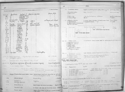 Opistognathus cyanospilotus Smith-Vaniz, 1972 - Zoology Accessions Register: Fishes: 1971 - 1985: page 299