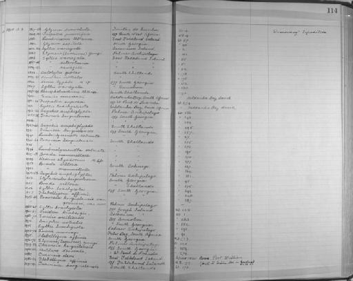 Onuphis notialis Monro, 1930 - Zoology Accessions Register: Annelida & Echinoderms: 1924 - 1936: page 114