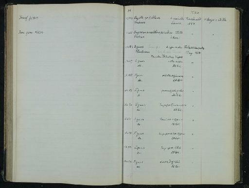 Equus ferus Boddaert,1785 - NHM-UK_P_DF118_03_33_0191