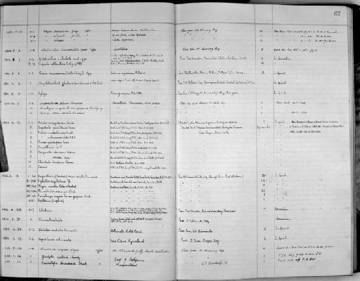 Mesoacidalia aglaja - Zoology Accessions Register: Mollusca: 1938 - 1955: page 67