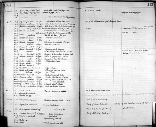 Caridina annandalei Kemp, 1918 - Zoology Accessions Register: Crustacea: 1905 - 1935: page 113