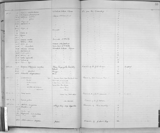 Gulella framesi subterclass Tectipleura Burnup, 1926 - Zoology Accessions Register: Mollusca: 1925 - 1937: page 33