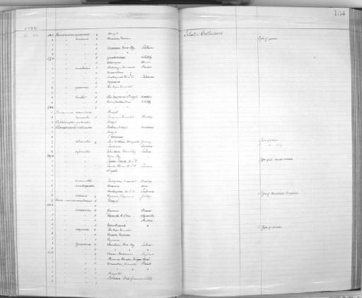 Formicivora consobrina P.L. Sclater, 1860 - Zoology Accessions Register: Aves (Skins): 1888 -1892: page 134