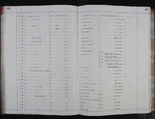 Cycloclypeus guembelianus - NHM-UK_P_DF118_04_16_0097