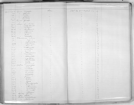 Nassa fissilabris A. Adams, 1852 - Zoology Accessions Register: Mollusca: 1900 - 1905: page 117