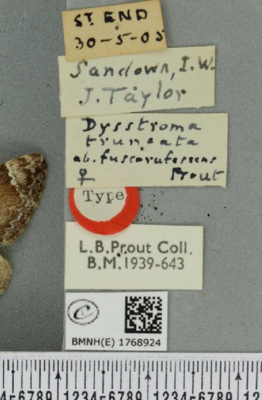 Dysstroma truncata truncata ab. fuscorufescens Prout, 1938 - BMNHE_1768924_label_349630