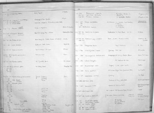 Herklotsichthys koningsbergeri Weber & de Beaufort, 1912 - Zoology Accessions Register: Fishes: 1971 - 1985: page 223