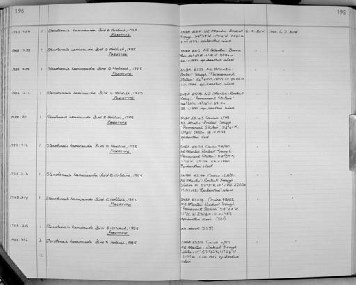 Stenotanais hamicauda Bird & Holdich, 1984 - Zoology Accessions Register: Crustacea: 1984 - 1991: page 198