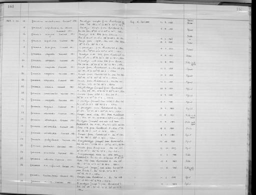 Gonaxia anonyma Vervoort, 1993 - Zoology Accessions Register: Coelenterata: 1981 - 1992: page 161