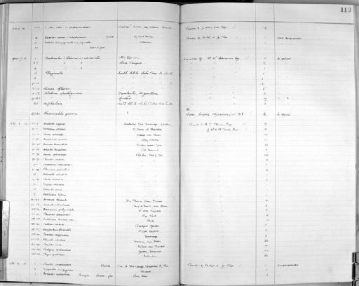 Punctum pygmaeum subterclass Tectipleura (Draparnaud, 1801) - Zoology Accessions Register: Mollusca: 1925 - 1937: page 113