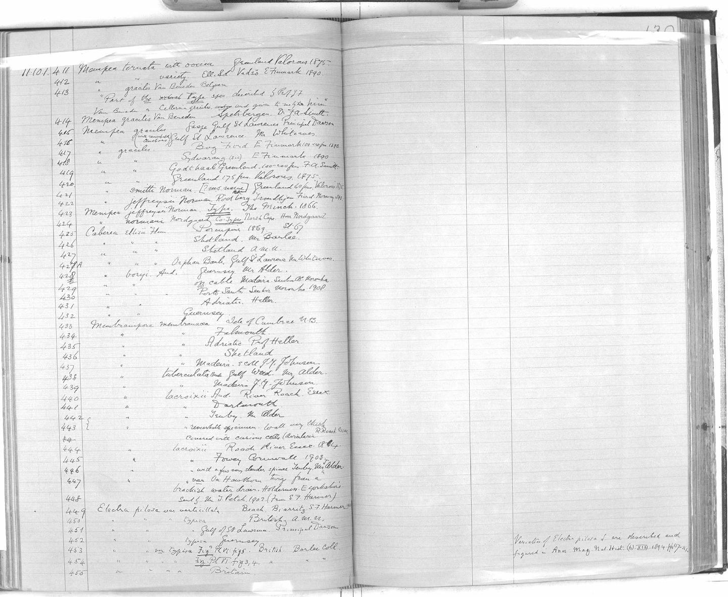 Zoology Accession Register: Hydrozoa - Polyzoa - Tunicata: 1887 - 1921: page 130