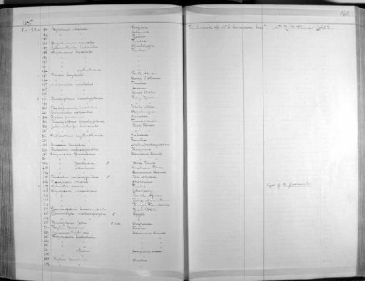 Calamonastes fasciolatus faciolatus - Zoology Accessions Register: Aves (Skins): 1874 -1880: page 160