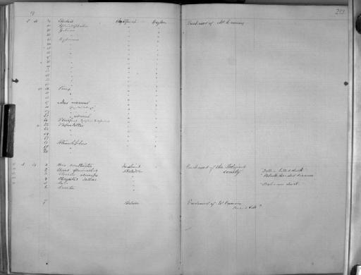 Barbus nigrofasciatus Günther, 1868 - Zoology Accessions Register: Mammals: 1854 - 1861: page 252