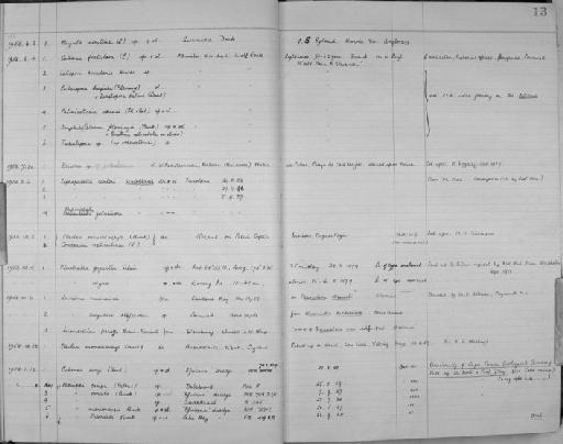 Loxosoma singulare Keferstein, 1862 - Zoology Accessions Register: Bryozoa: 1950 - 1970: page 13