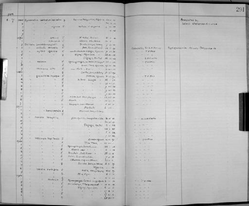 Cisticola cisticola berberae R.  Meinertzhagen, 1922 - Zoology Accessions Register: Aves (Skins): 1921 - 1923: page 291