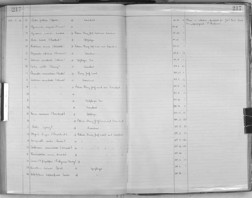 Asbestopluma cupressiformis Carter - Zoology Accessions Register: Spongiida: 1929 - 1938: page 217