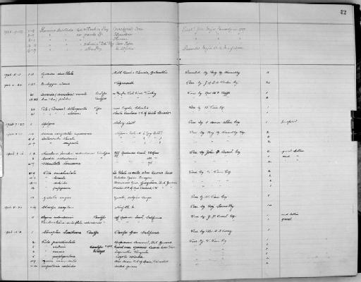 Pomacea vickerii Pain, 1946 - Zoology Accessions Register: Mollusca: 1938 - 1955: page 42