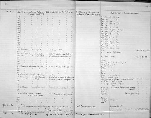 Ceratoisis ramosa Hickson, 1904 - Zoology Accessions Register: Coelenterata: 1958 - 1964: page 91