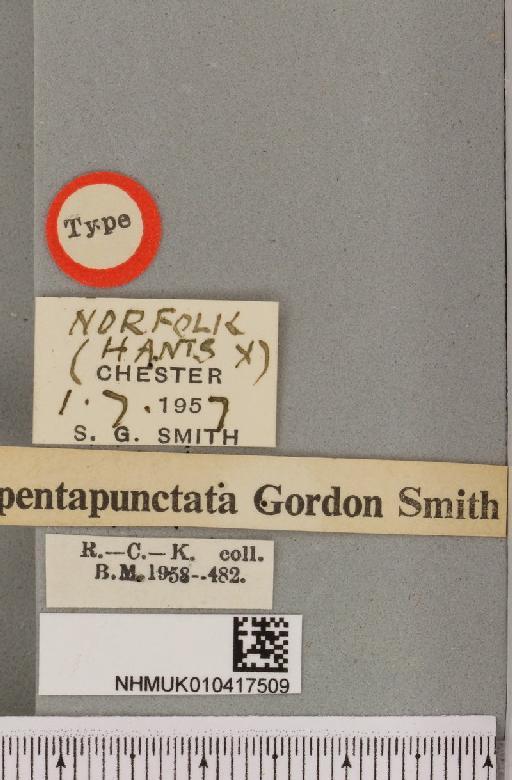 Arctia caja ab. pentapunctata Smith, 1958 - NHMUK_010417509_label_529972