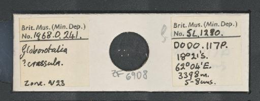 Globorotalia crassula Cushman & Stewart, 1930 - ZF6908.jpg