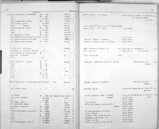 Papio ursinus - Zoology Accessions Register: Mammals: 1967 - 1970: page 27