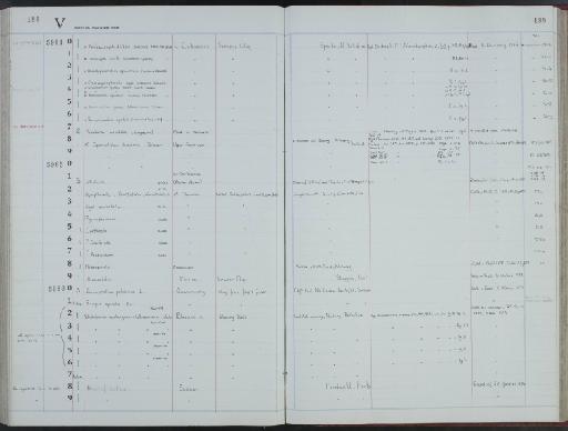 Spermolithus devonicus Johnson, 1917 - NHM-UK_P_DF118_02_73_0385