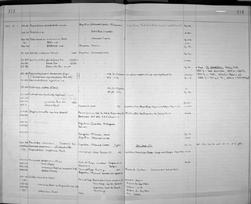 Bothrioneurum filiformis - Zoology Accessions Register: Annelida: 1936 - 1970: page 111