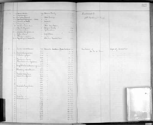 Oenanthe yemenensis Ogilvie-Grant, 1913 - Zoology Accessions Register: Aves (Skins): 1911 - 1913: page 327