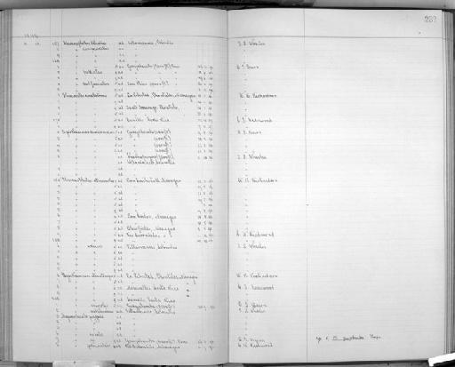 Dysithamnus mentalis semicinereus - Bird Group Collector's Register: Aves - Salvin & Godman Collection Vol 5: 1898 - 1913: page 237