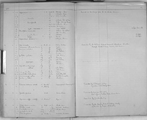 Hipposideros inexpectatus Laurie and Hill,  1954 - Zoology Accessions Register: Mammals: 1921 - 1929: page 136