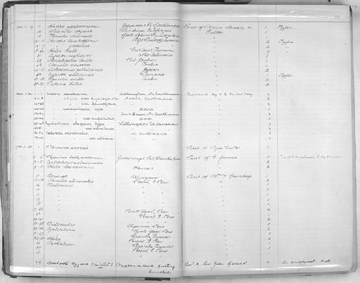 Helix halli subterclass Tectipleura Legrand, 1871 - Zoology Accessions Register: Mollusca: 1900 - 1905: page 39