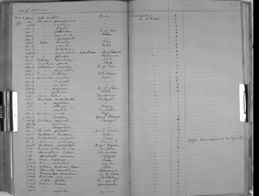 Planorbis crassilabrum subterclass Tectipleura Morelet, 1860 - Zoology Accessions Register: Mollusca: 1884 - 1893: page 248