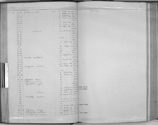 Cyclothone acclinidens Garman, 1899 - Zoology Accessions Register: Fishes: 1937 - 1960: page 45