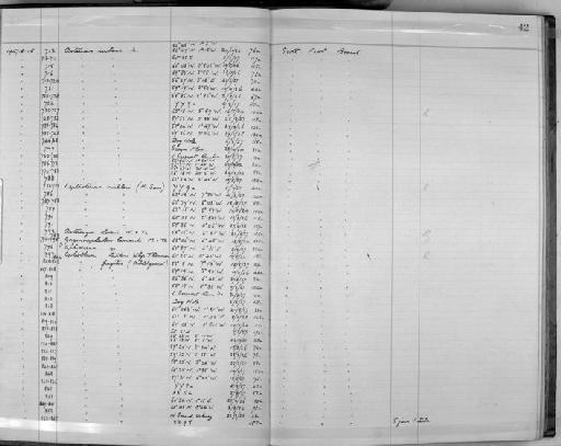 Leptasterias muelleri f. nobilis Heding, 1935 - Zoology Accessions Register: Echinodermata: 1935 - 1984: page 42