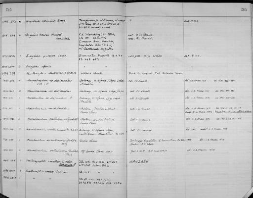Pentanymphon minutum Gordon, 1944 - Zoology Accessions Register: Crustacea: 1969 - 1976: page 205