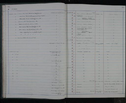 Lonchidion breve Patterson, 1966 - NHM-UK_P_DF118_03_15_0029