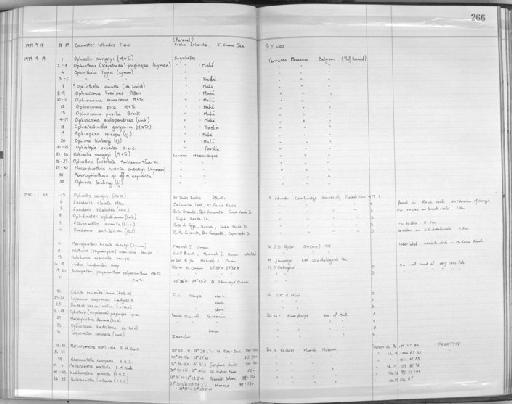 Koehlermetra porrecta (Carpenter, 1888) - Zoology Accessions Register: Echinodermata: 1935 - 1984: page 266